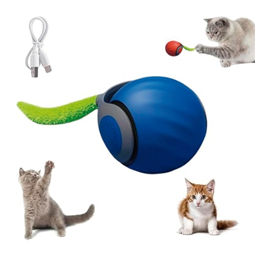 NUEVA PELOTA INTELIGENTE CON COLA PARA GATO