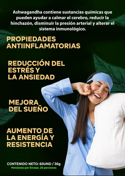 NUEVO COMBO MELENA DE LEÓN + ASHWAGANDHA