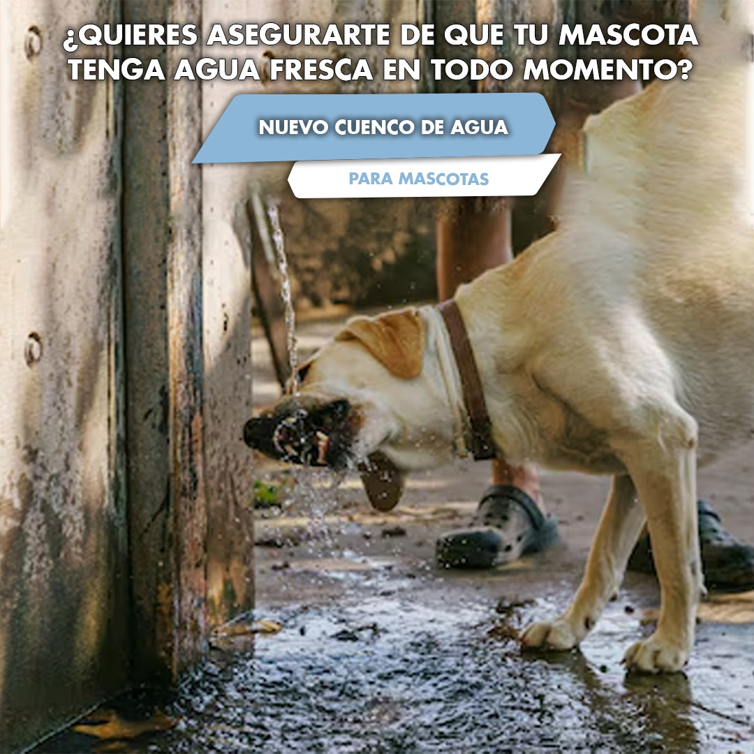 CUENCO DE AGUA PARA MASCOTAS