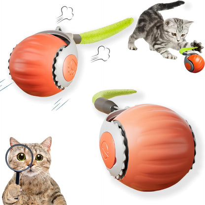 NUEVA PELOTA INTELIGENTE CON COLA PARA GATO